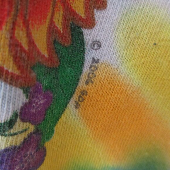 Grateful Dead‎ Inspiration Bear Tie Dye Band T Shirt 2006 - Picture 5 of 11